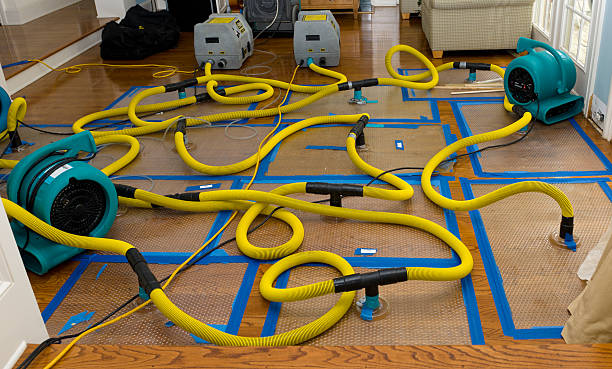 Professional Basement Flood Cleanup technician working in Modoc, SC